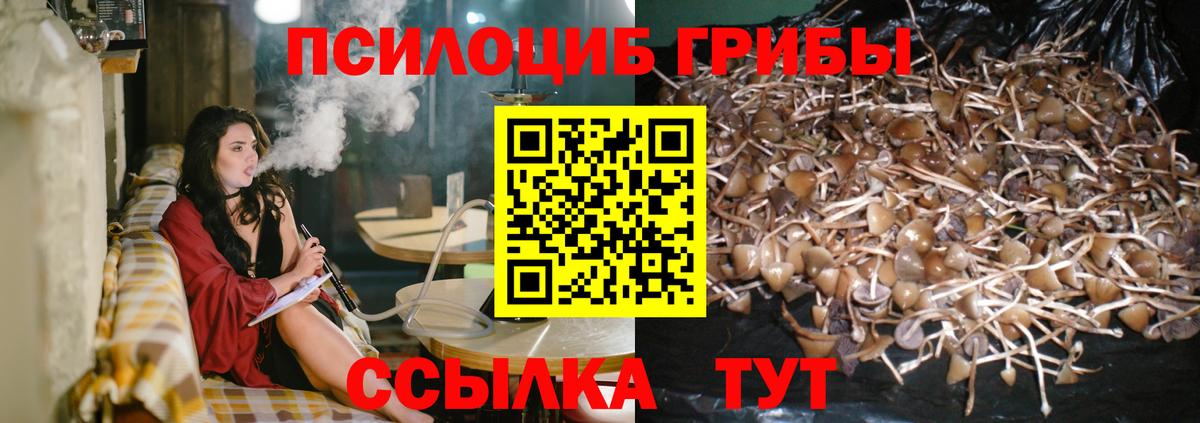 Псилоцибиновые грибы Cubensis Советский