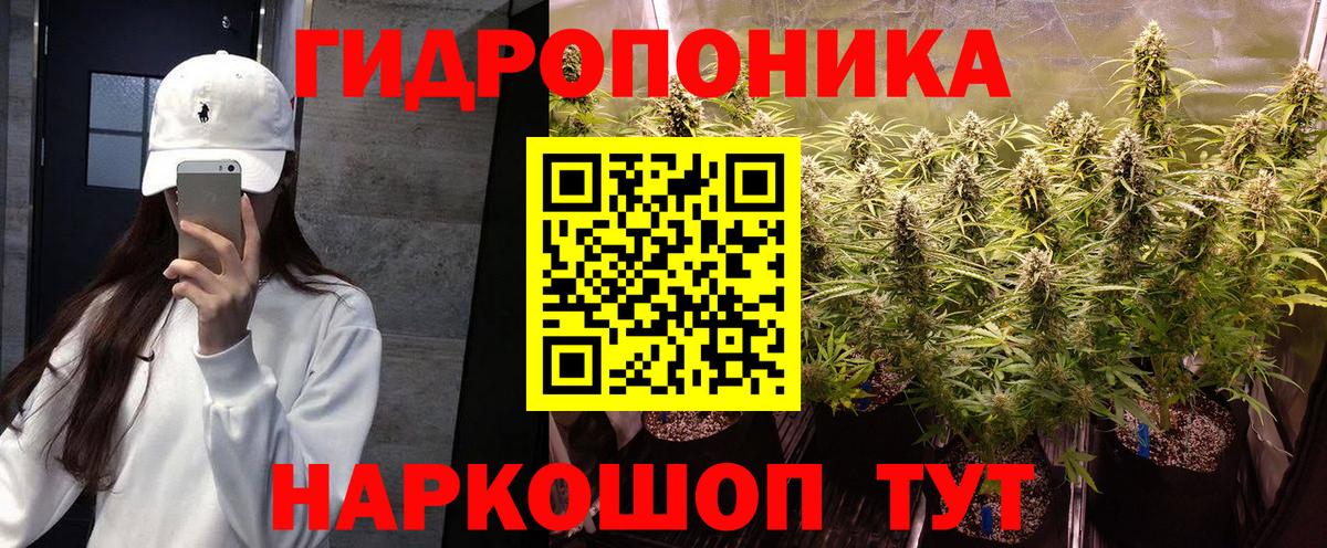 Конопля THC 21%  Вход с VPN  Канабис конопля  Канабис конопля  Советский  Шишки марихуана MAZAR 